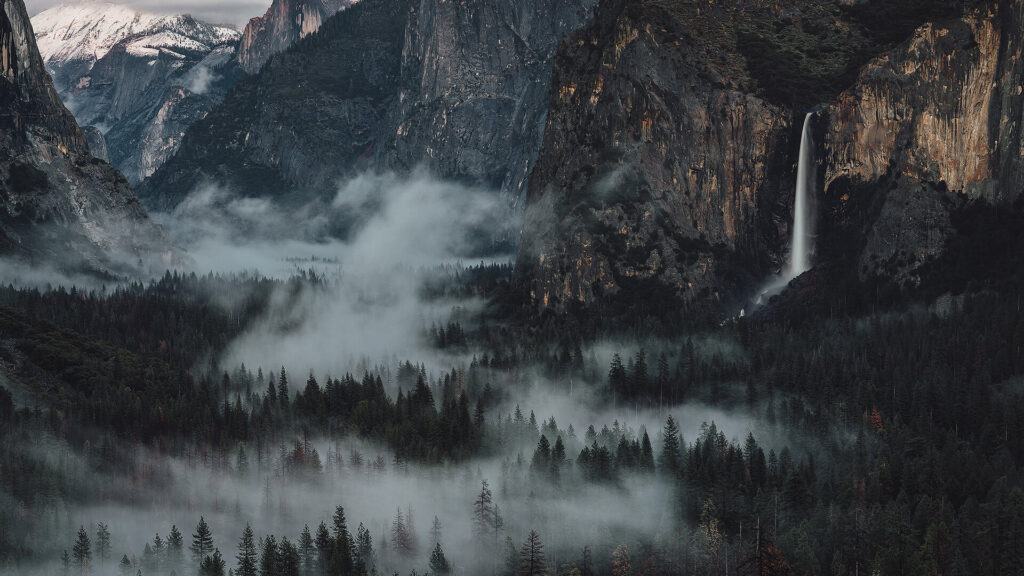 شركة تصميم مواقع الكترونية وعلاقتها بتسويق المنتجات